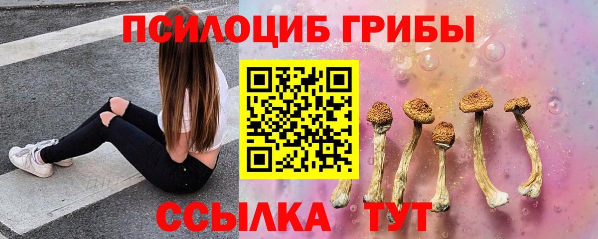 Южно-Сахалинск  Псилоцибиновые грибы GOLDEN TEACHER  Вход с VPN 